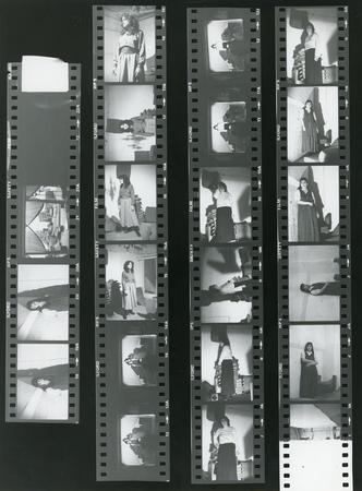 Provini: 20 fotografie. - 13 stampate singolarmente