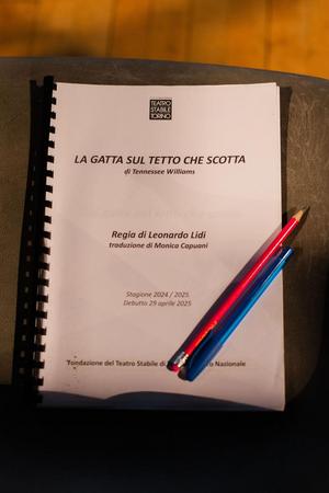 il copione